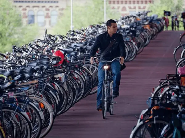 E se a bicicleta se tornar o meio de transporte mais usado?